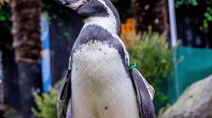 SEA LIFE Blankenberge