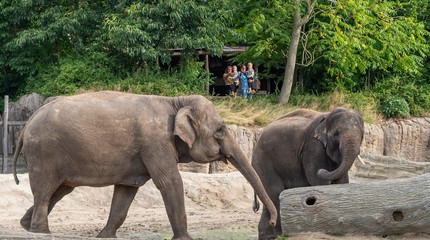 WILDLANDS Adventure Zoo Emmen
