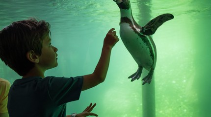WILDLANDS Adventure Zoo Emmen