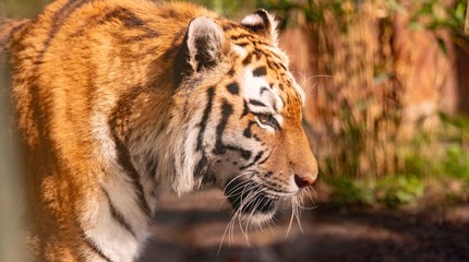 ZooParc Overloon