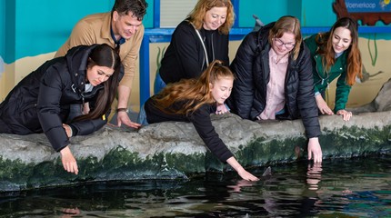 Dolfinarium