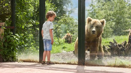 Eindhoven Zoo