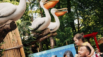 DierenPark Amersfoort