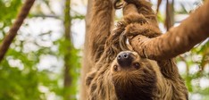 WILDLANDS Adventure Zoo Emmen