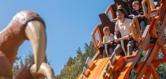 Avonturenpark Hellendoorn
