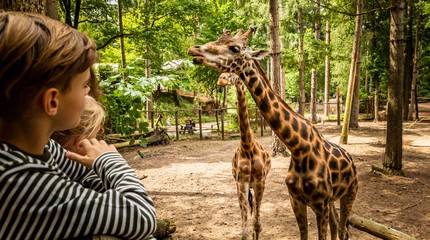 DierenPark Amersfoort