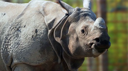 Eindhoven Zoo