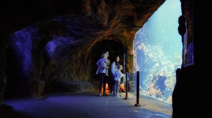 Koninklijke Burgers' Zoo