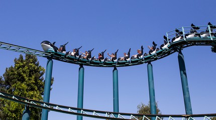 Boudewijn Seapark