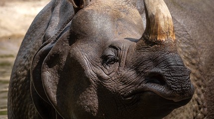 ZOO Planckendael
