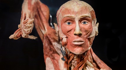 Body Worlds