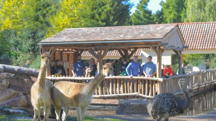 Vogelpark Avifauna