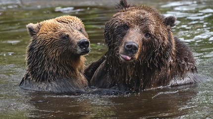 Ouwehands Dierenpark