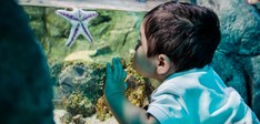 SEA LIFE Scheveningen - Erop Uit