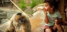 ZOO Planckendael