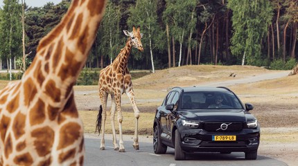Safaripark Beekse Bergen