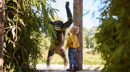 Eindhoven Zoo
