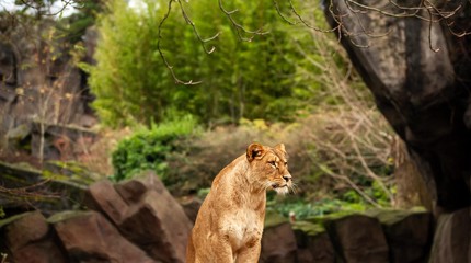 ZOO Antwerpen