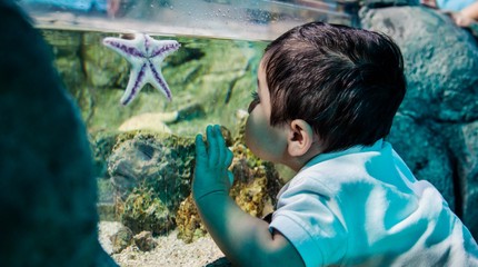 SEA LIFE Scheveningen - Erop Uit