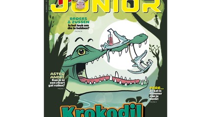 Quest Junior