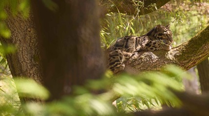 ZooParc Overloon