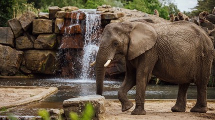 Safaripark Beekse Bergen