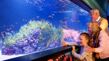 SEA LIFE Scheveningen