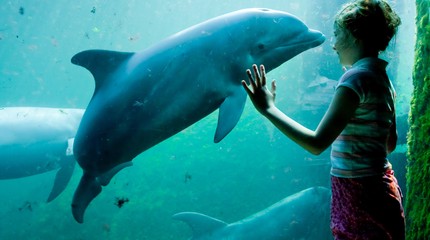 Dolfinarium