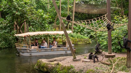 WILDLANDS Adventure Zoo Emmen