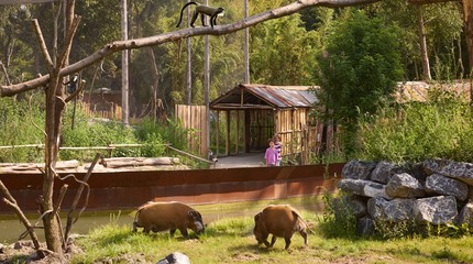 ZooParc Overloon