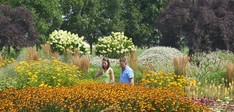 Bloemenpark Appeltern