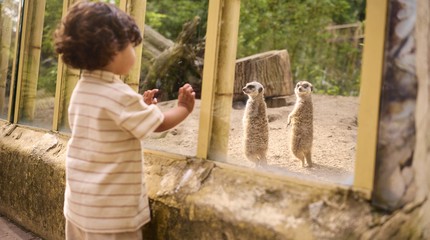 Ouwehands Dierenpark