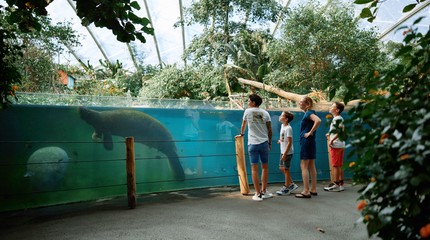 Koninklijke Burgers' Zoo