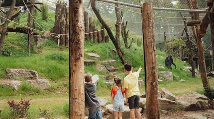 DierenPark Amersfoort