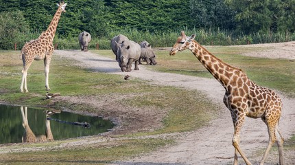 Koninklijke Burgers' Zoo