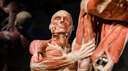 Body Worlds
