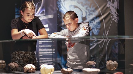 Body Worlds