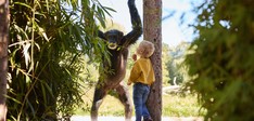 Eindhoven Zoo