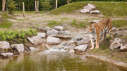 Eindhoven Zoo
