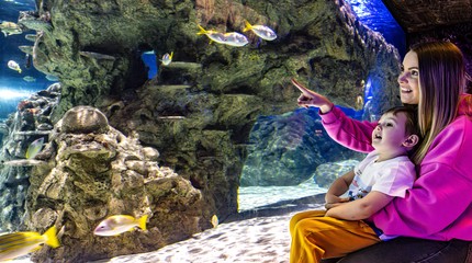 SEA LIFE Scheveningen