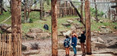 DierenPark Amersfoort