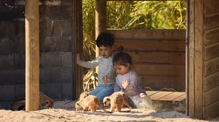 Eindhoven Zoo