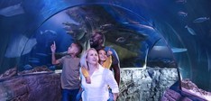 SEA LIFE Scheveningen