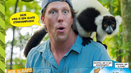 Wild van Freek