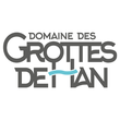 Domein van de Grotten van Han logo