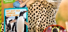 Wild van Freek - Sinterklaas