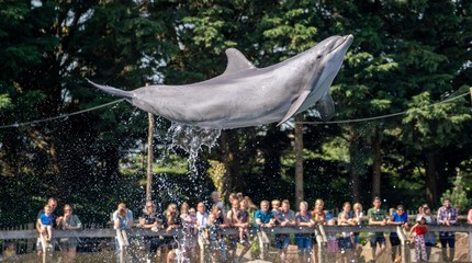 Dolfinarium